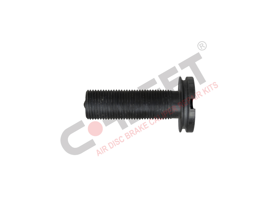 CALIBRATION BOLT (SLOTTED)